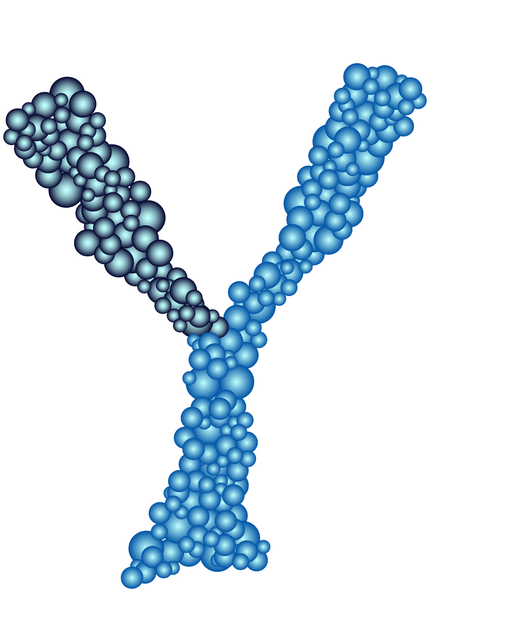 antibody